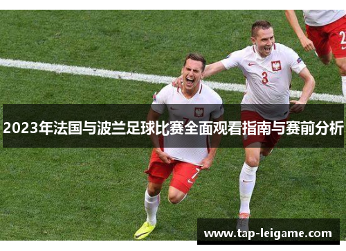 2023年法国与波兰足球比赛全面观看指南与赛前分析