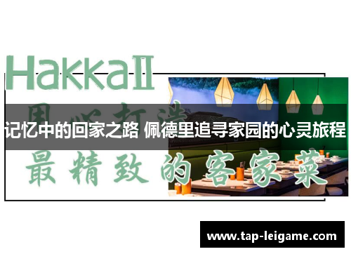 记忆中的回家之路 佩德里追寻家园的心灵旅程