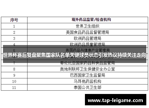 世界杯赛后复盘聚焦国家队名单关键球员状态引发热议持续关注走向